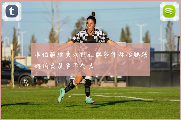 韦伯解读桑切斯红牌事件称抬腿踢姆伯莫属鲁莽行为