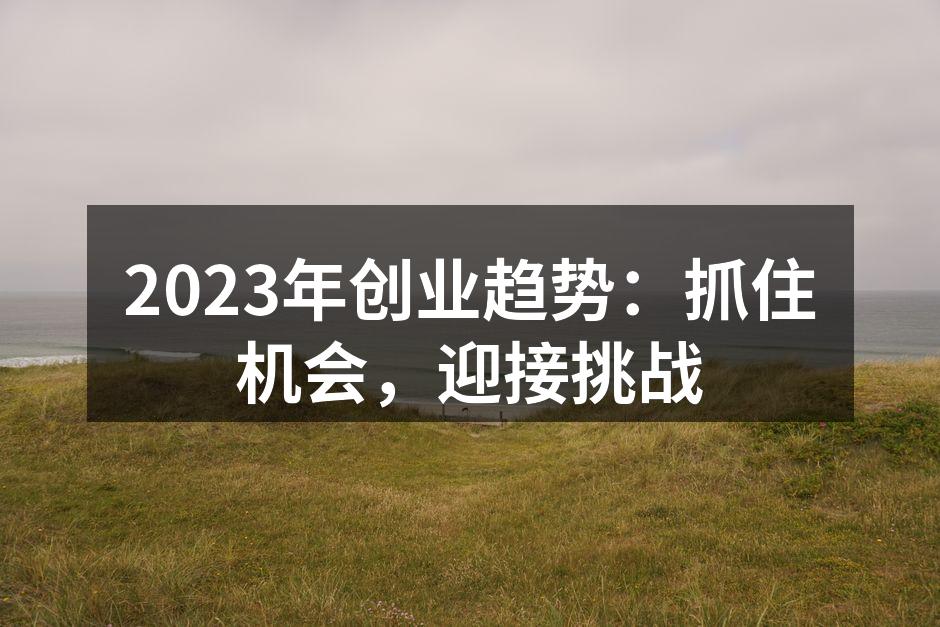 2023年创业趋势：抓住机会，迎接挑战