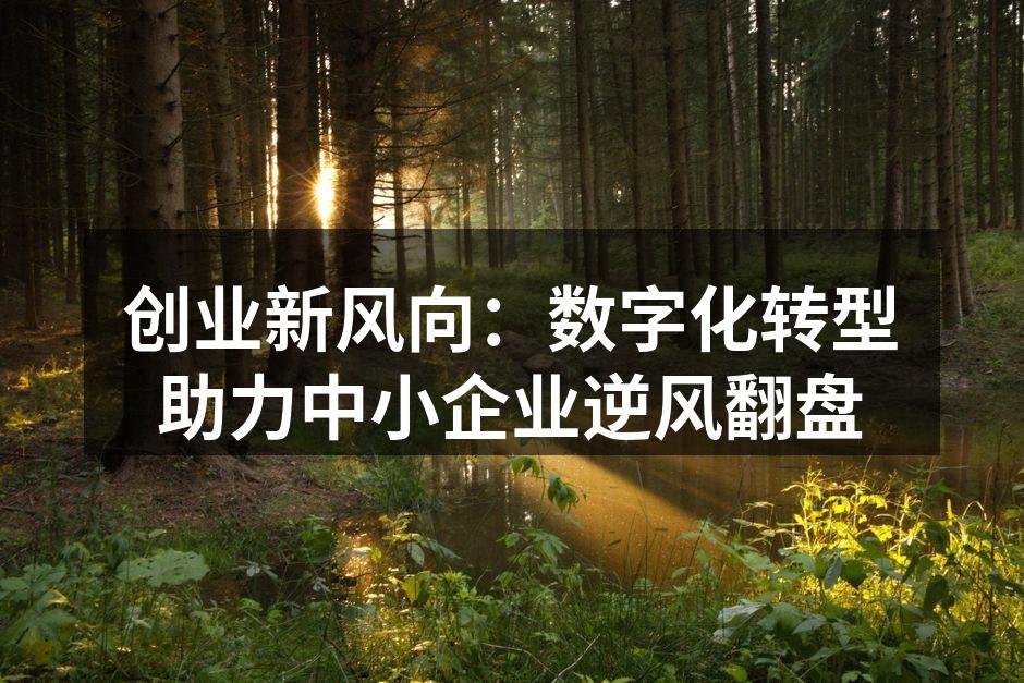 创业新风向：数字化转型助力中小企业逆风翻盘